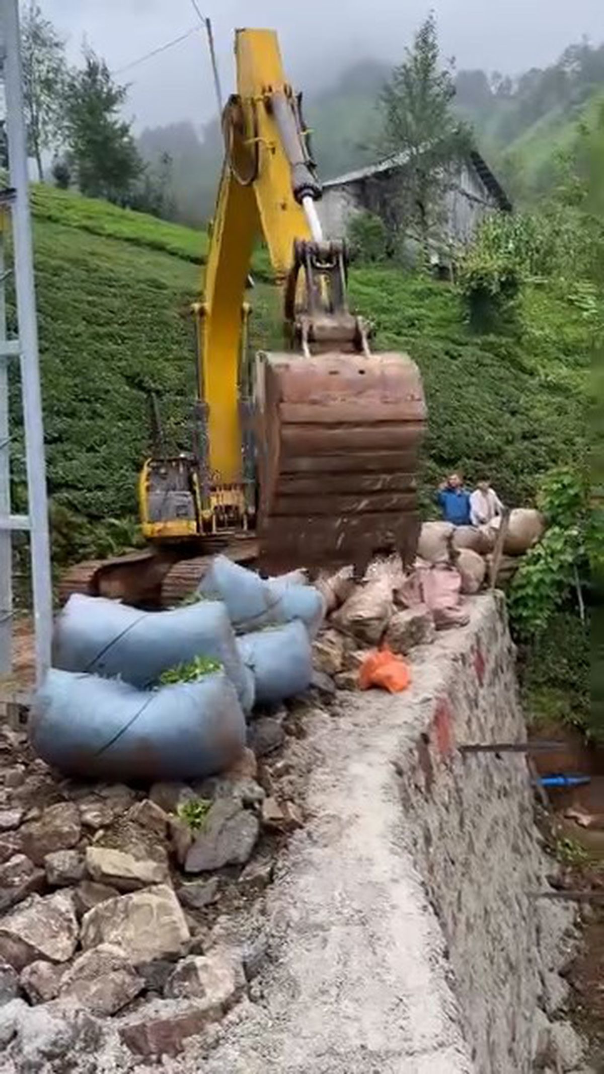 Rize'de Çay Hasadında İş Makineli Pratik Çözüm