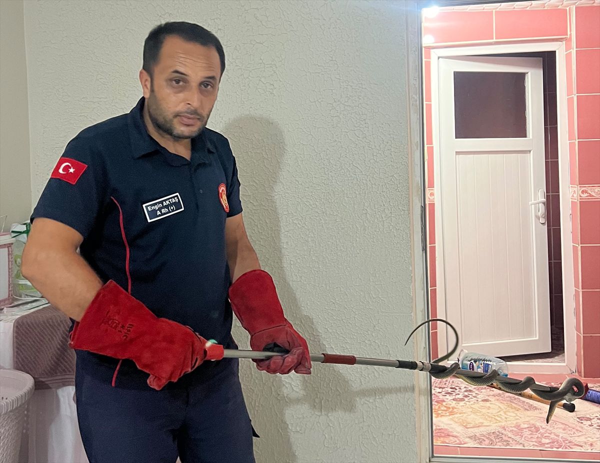 Niksar'da eve giren yılan itfaiye tarafından yakalandı