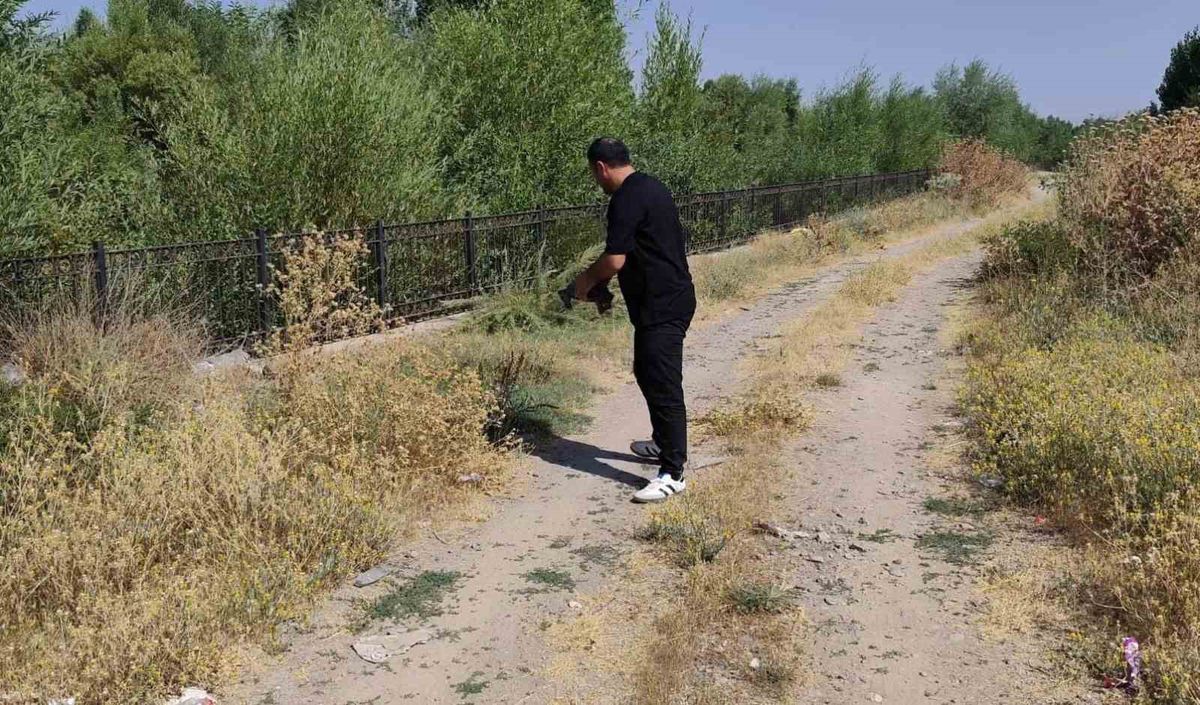 Esnaf, Kaplumbağayı Trafikte Kurtardı