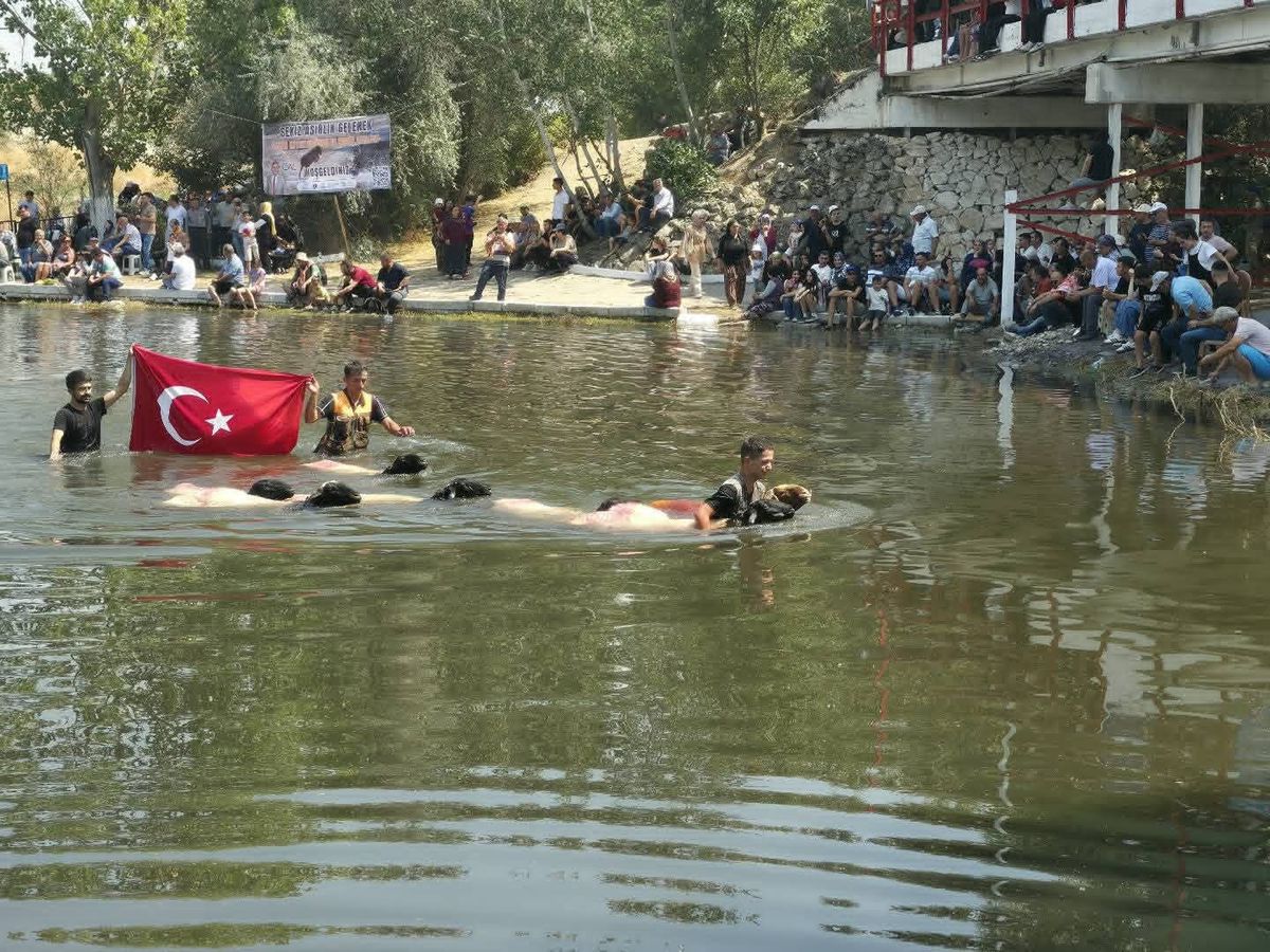 Denizli'de 853 Yıllık Gelenek: Sudan Koyun Geçirme Yarışması