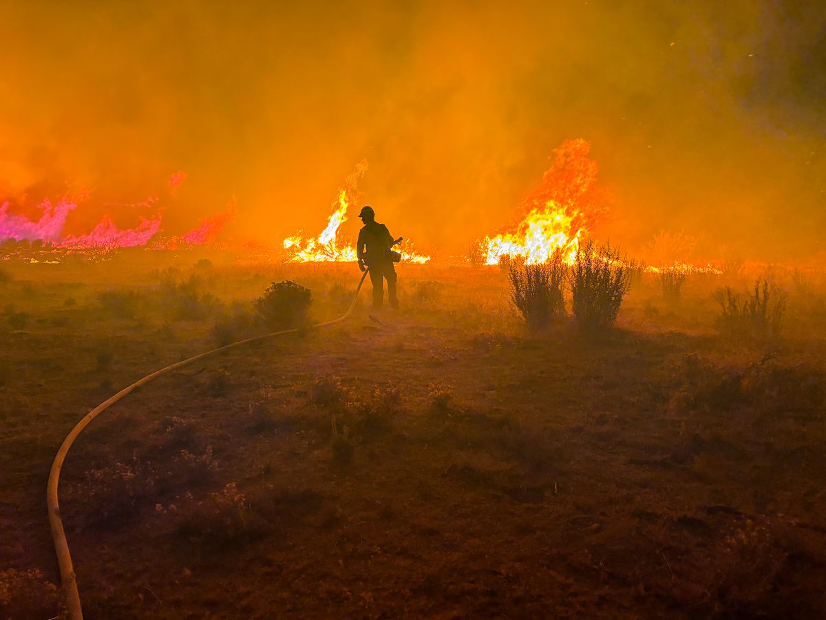 Nevada'da Orman Yangını: 42 Bin Kişi Tahliye Ediliyor