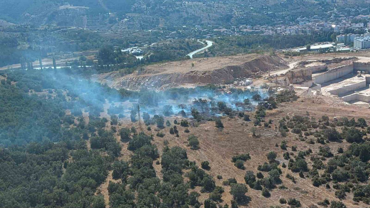 Bilecik'te orman yangını kontrol altına alındı
