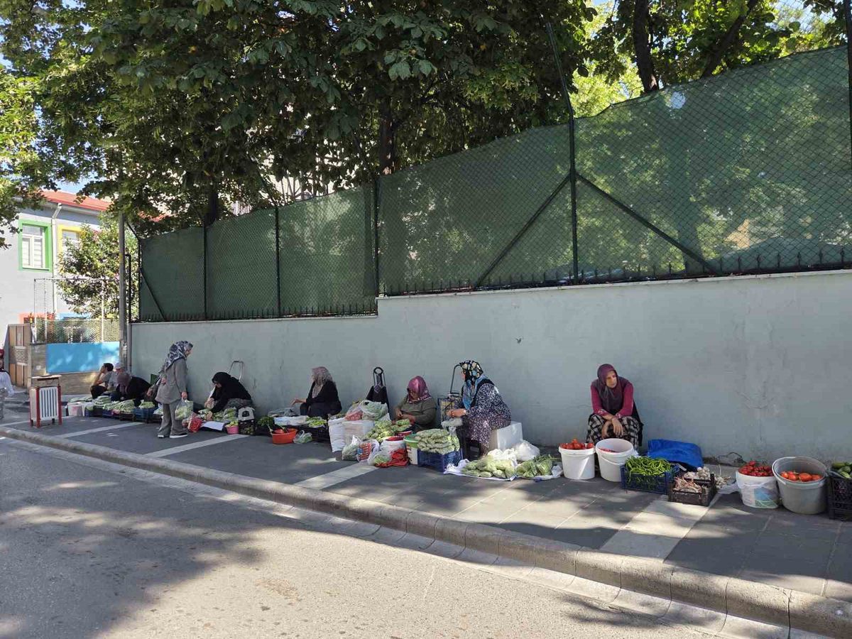 Samsun'da kaldırımda bamya satışı: Ev ekonomisine katkı