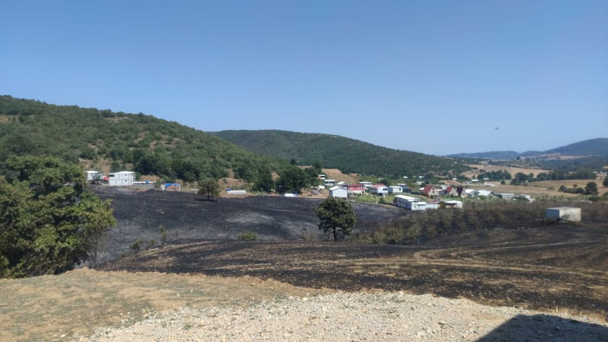 Bursa'da anız yangını ormana sıçradı
