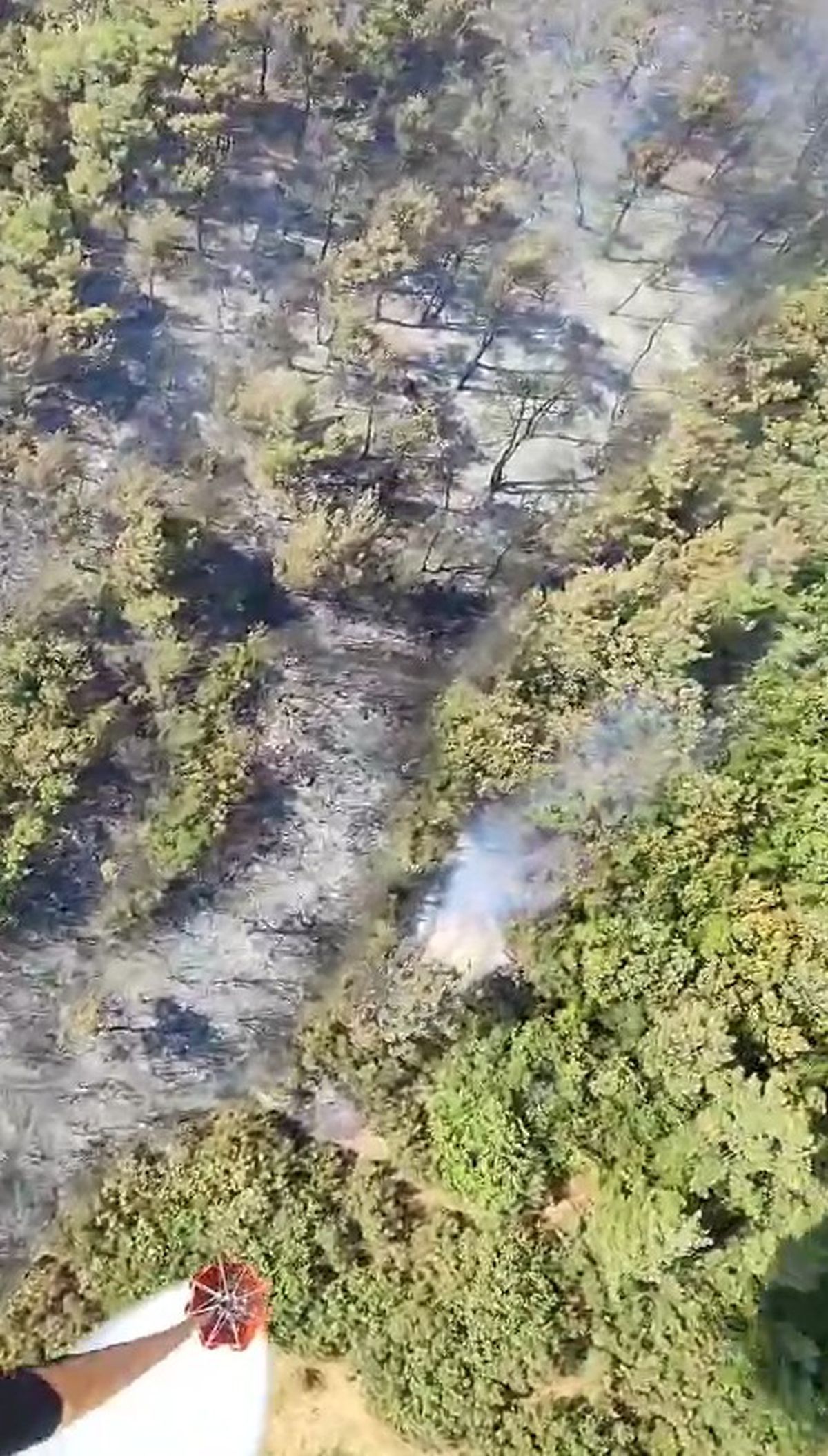 Bursa'da 3 Noktada Orman Yangını: 2 Uçak ve 4 Helikopterle Müdahale