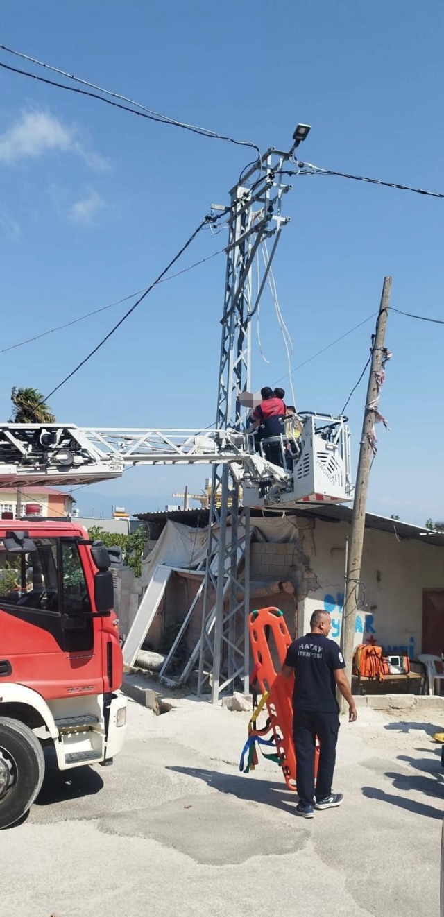 elektrik direginde erkek cesed 20173128 7214 1 m