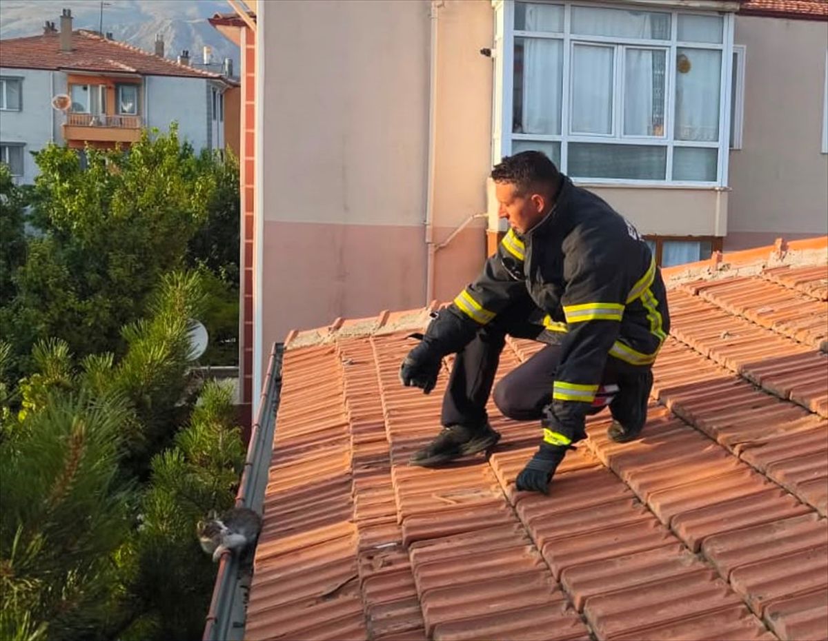 Erzincan'da Çatıda Mahsur Kalan Kedi Kurtarıldı