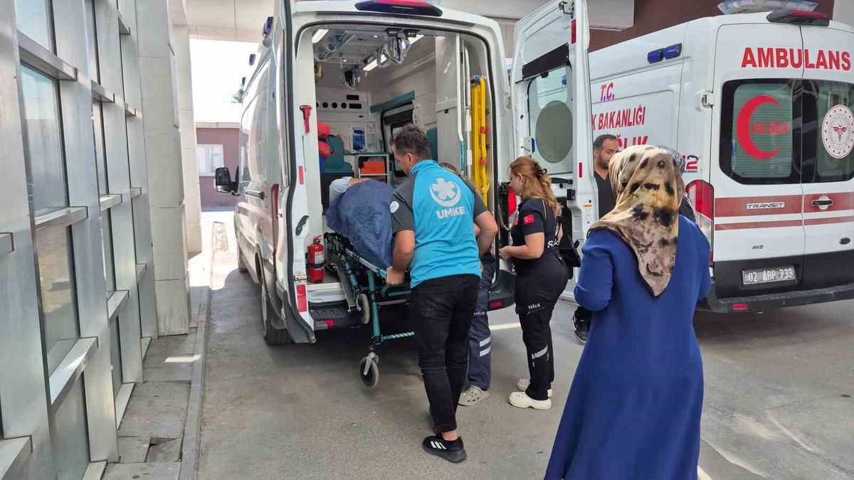 Adıyaman'da İncir Toplarken Ağaçtan Düşen Kişi Yaralandı