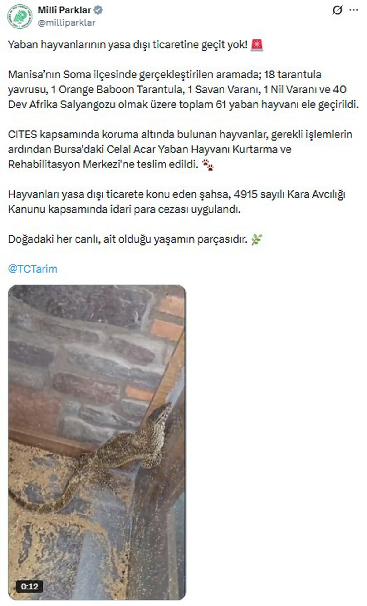 Manisa'da CITES kapsamındaki 61 yaban hayvanı ele geçirildi