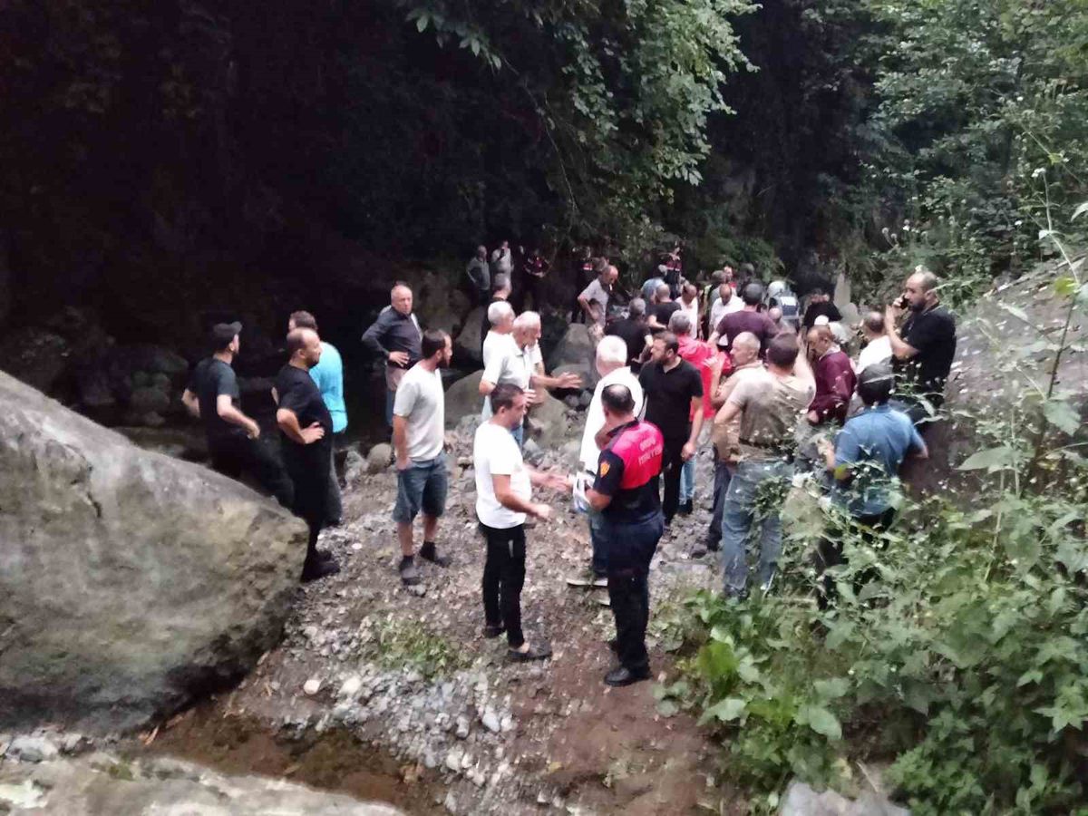 Çamaş'ta iki kardeş uçurumda ölü bulundu