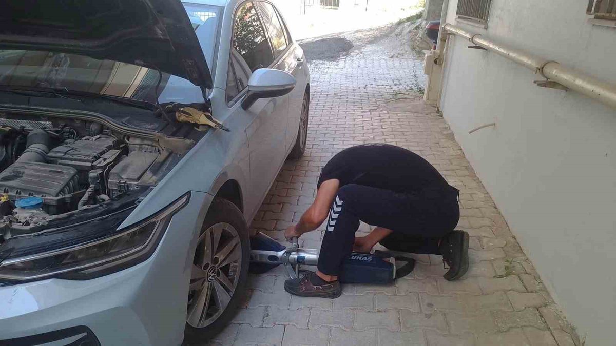 Hatay'da Mahsur Kalan Kediler Kurtarıldı
