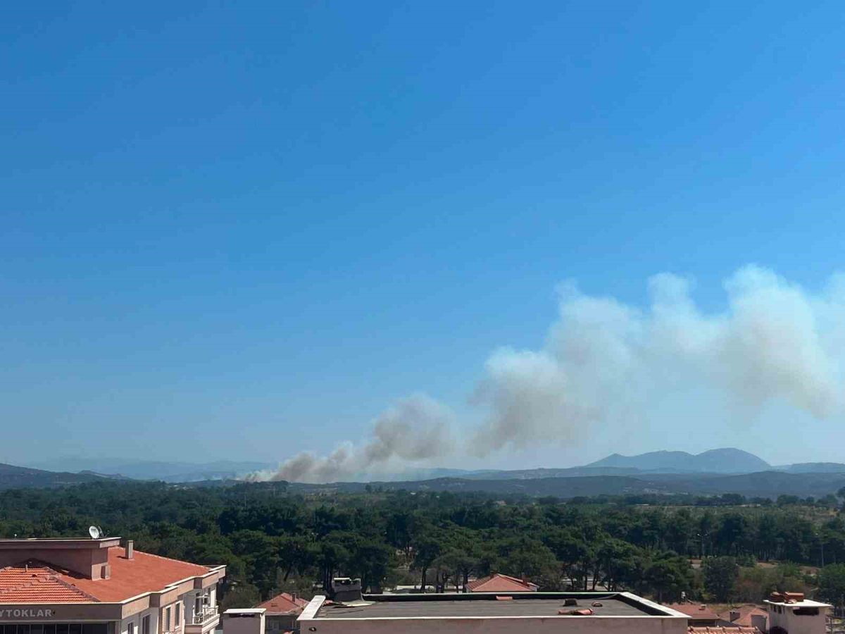 Ayvacık'ta Otluk Yangınına Müdahale