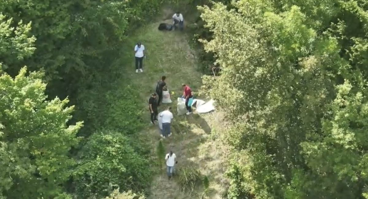 Bafra'da 138 kg Esrar Operasyonu: 1 Tutuklama