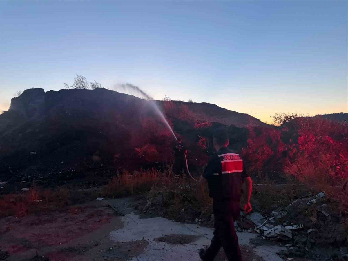 Bilecik'te Ot ve Çalılık Yangını Kontrol Altına Alındı