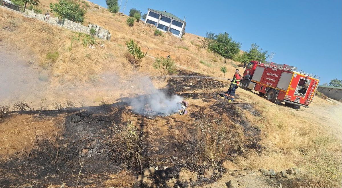 Bingöl'de İki Ayrı Yangın Kontrol Altına Alındı