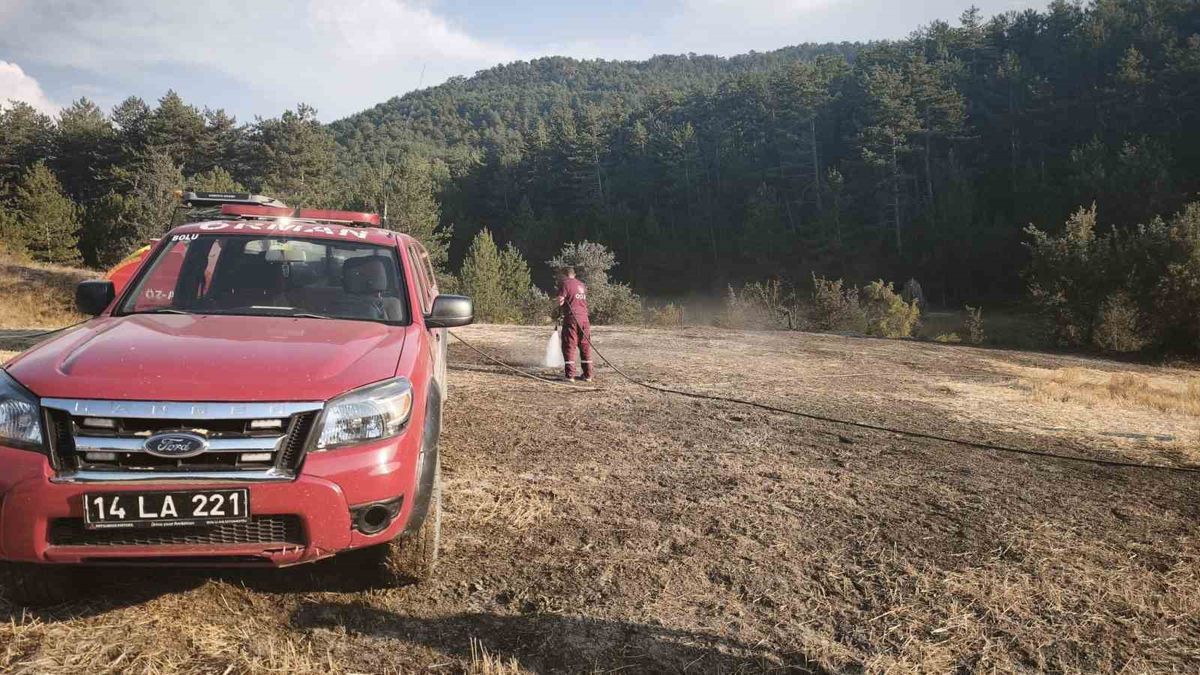 Mudurnu'da anız yangınına köylülerden erken müdahale