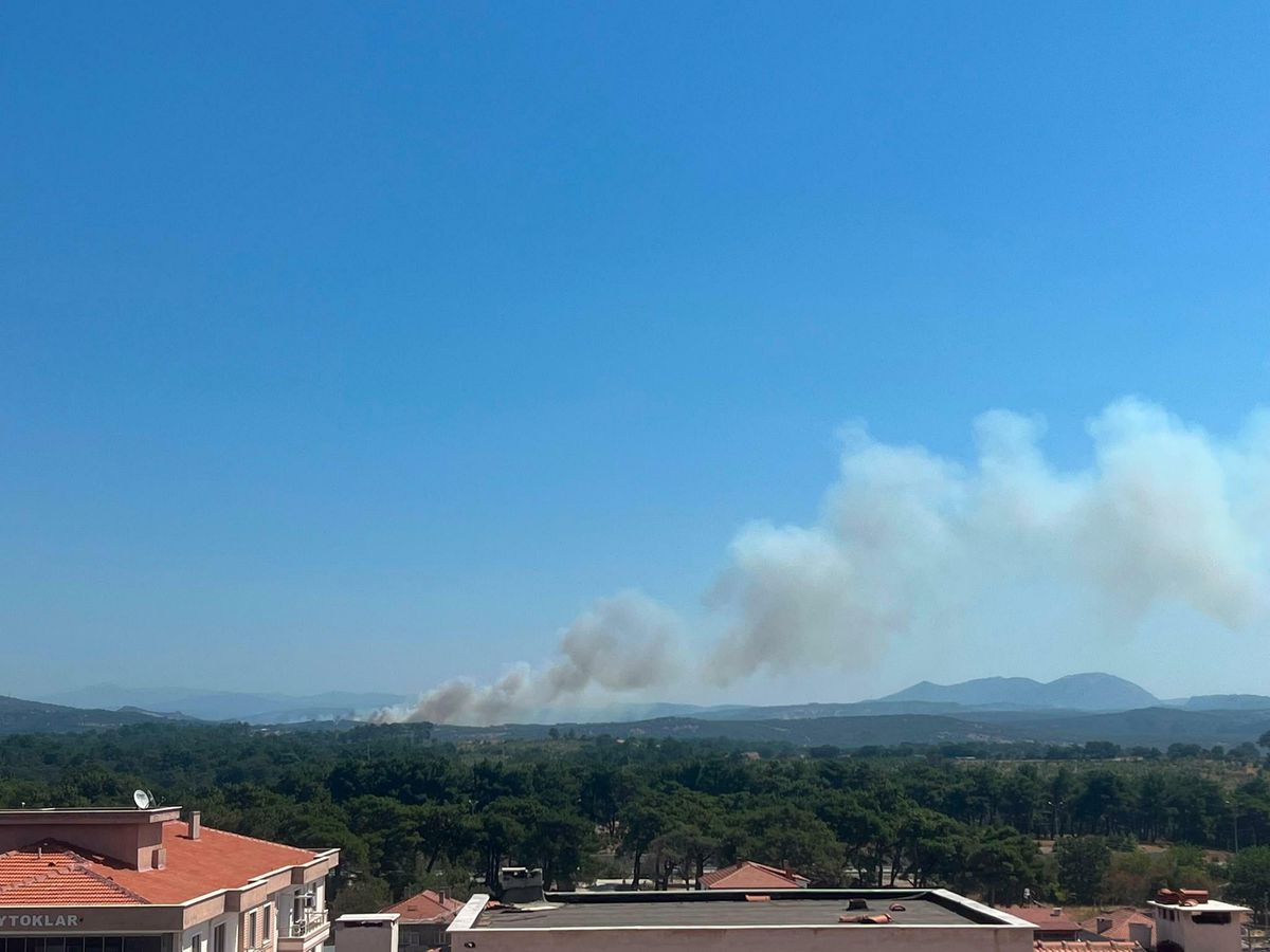 Çanakkale'nin Ayvacık ilçesinde tarım ve mera arazisinde yangın