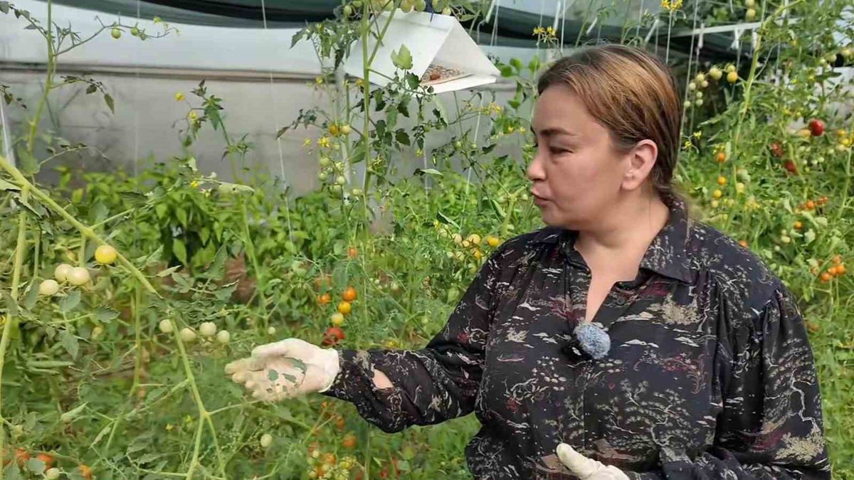 Çocukluk Merakı Mesleğe Dönüştü: Yasemin Güler Orhan Seracılıkta Örnek Oldu