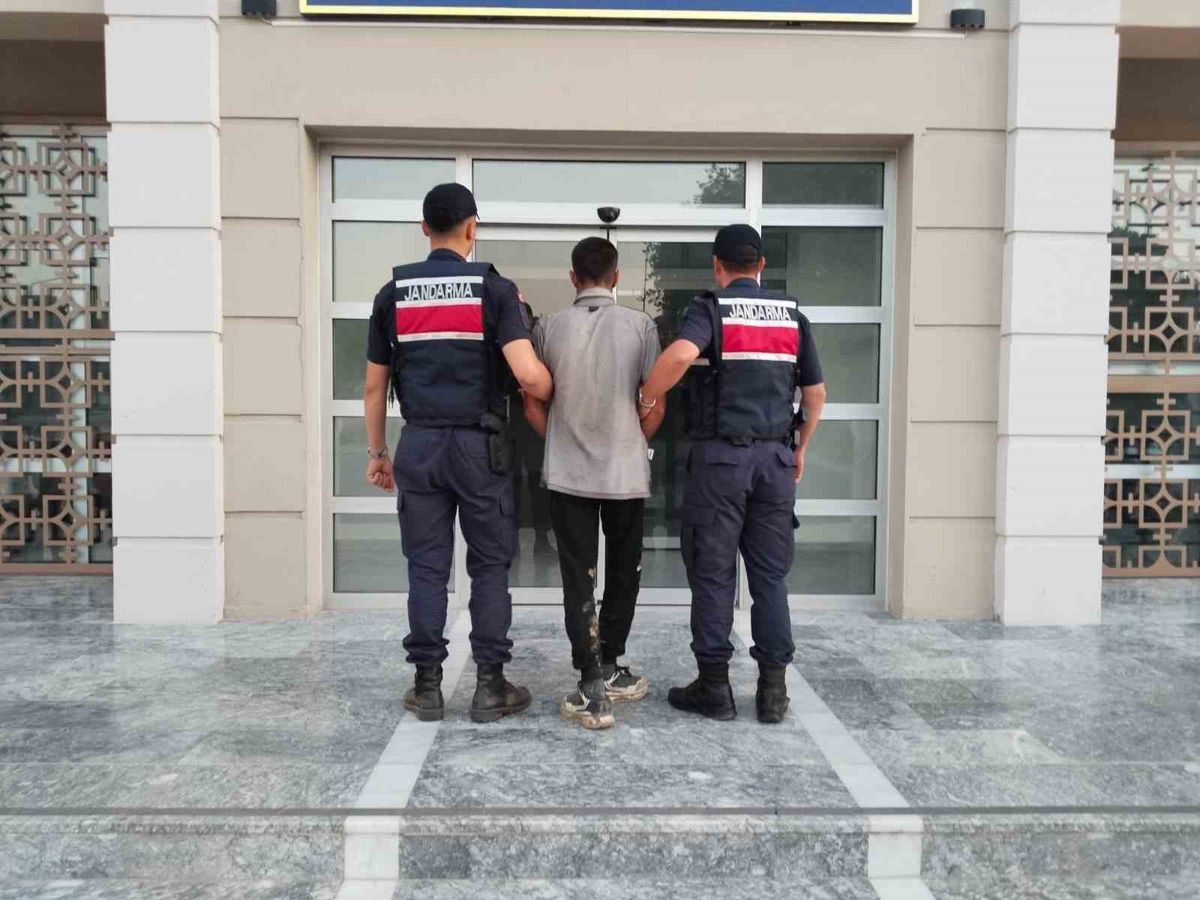 Germencik'te İncir Hırsızı Suçüstü Yakalandı