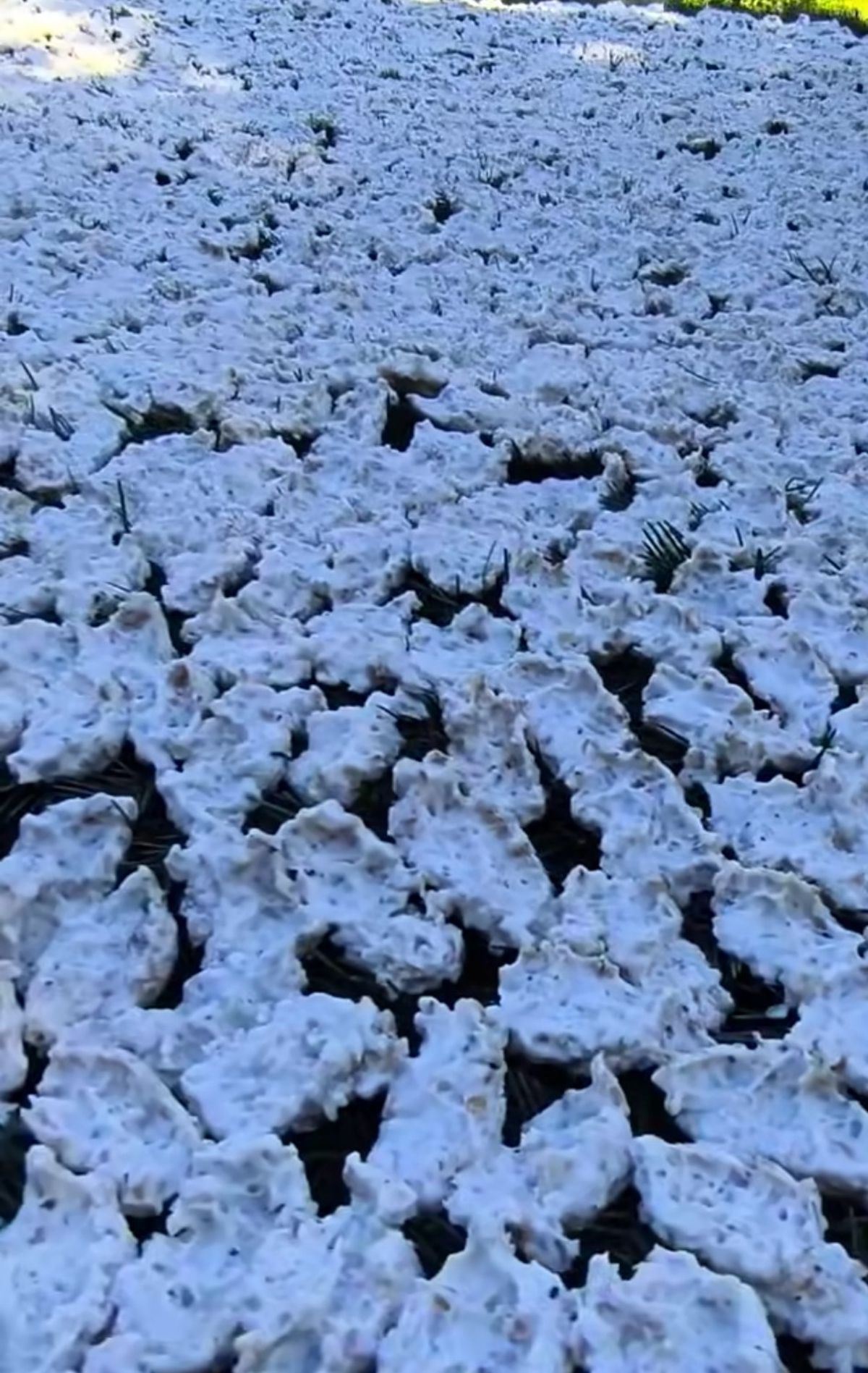 Torosların Geleneksel Tarhanası: Mezla Dallarında Güneşle Buluşuyor