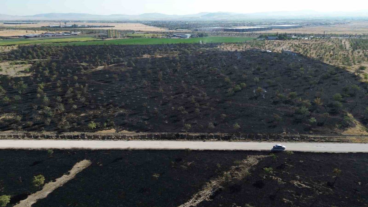 Konya'da ağaçlık alanda yangın: 150 dekar kül oldu