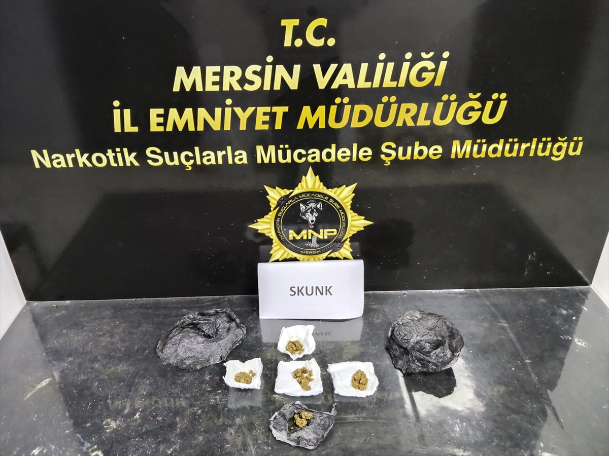 Mersin'de uyuşturucu operasyonu: 2 tutuklama