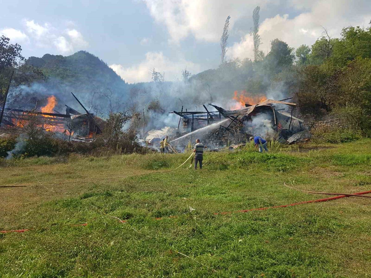 Artvin'in Şavşat İlçesinde Yangın: 4 Hane Zarar Gördü
