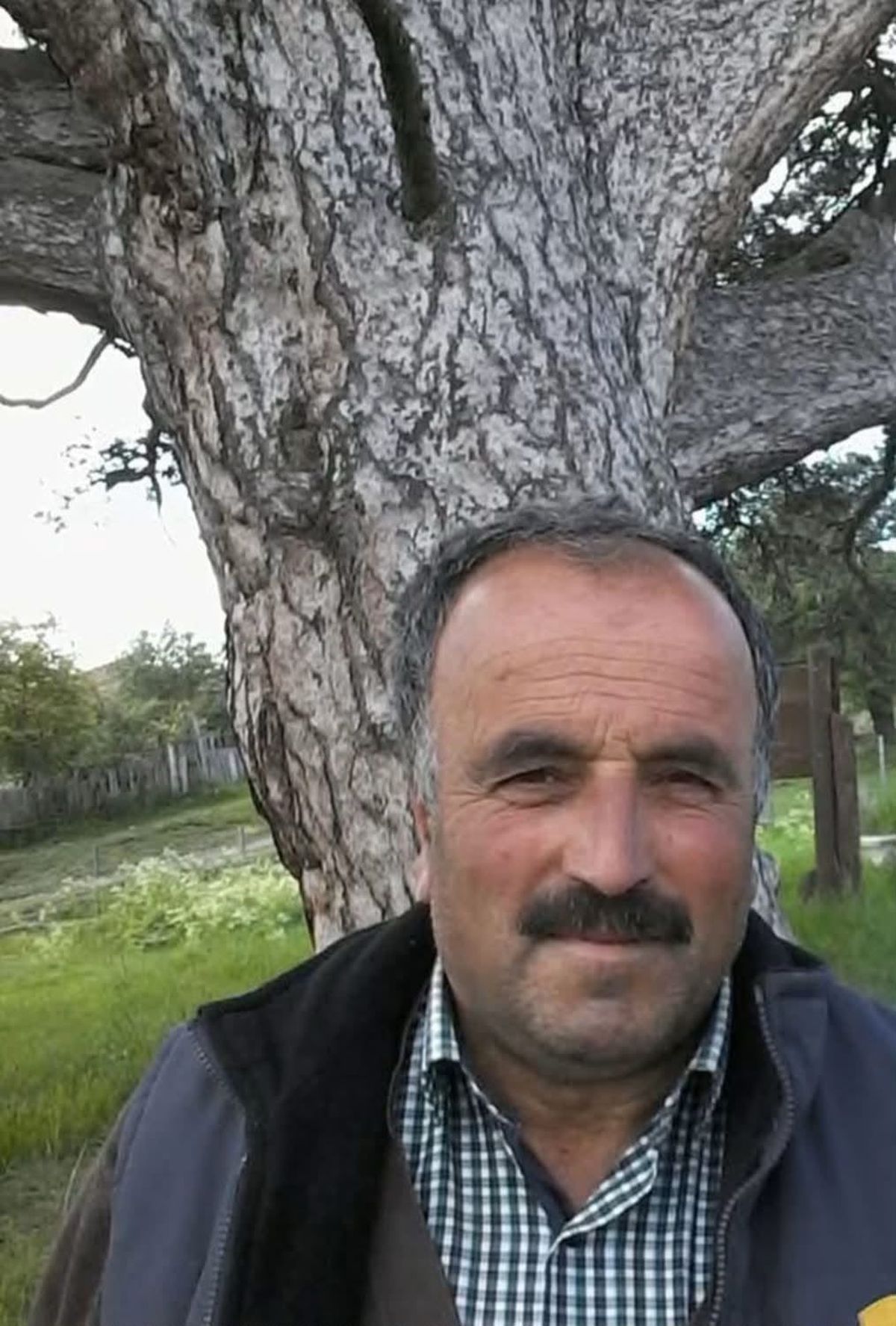 Kastamonu'da Ağaç Kesimi Sırasında Facia: 1 Kişi Hayatını Kaybetti