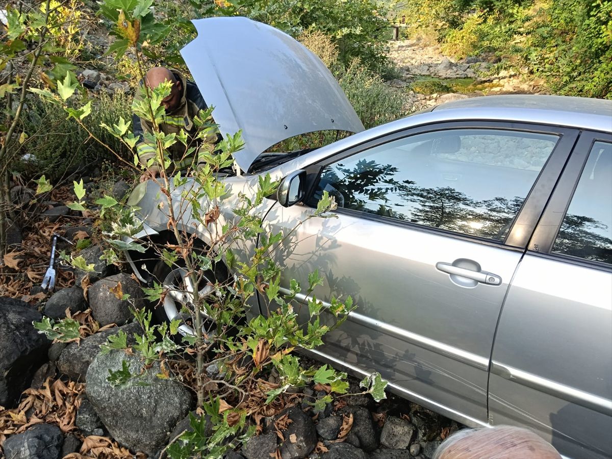 Yalova'da Otomobil Dere Yatağına Devrildi: 1 Yaralı