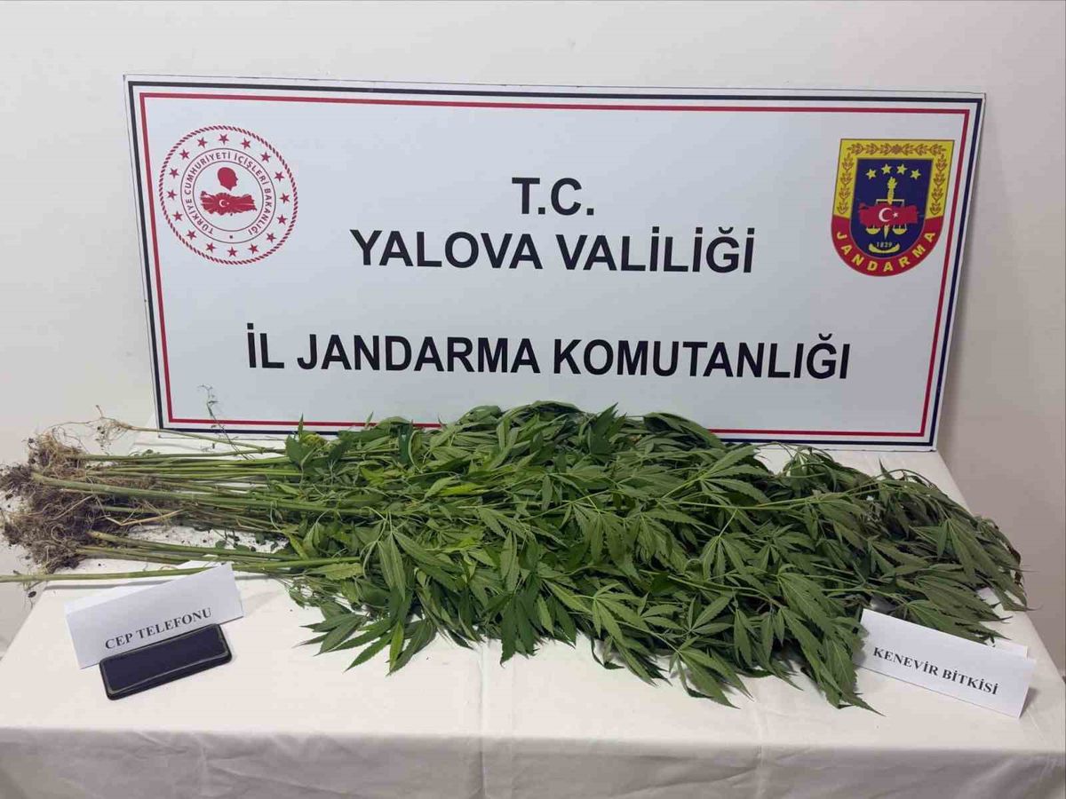 Yalova'da Uyuşturucu Operasyonu: 3 Gözaltı