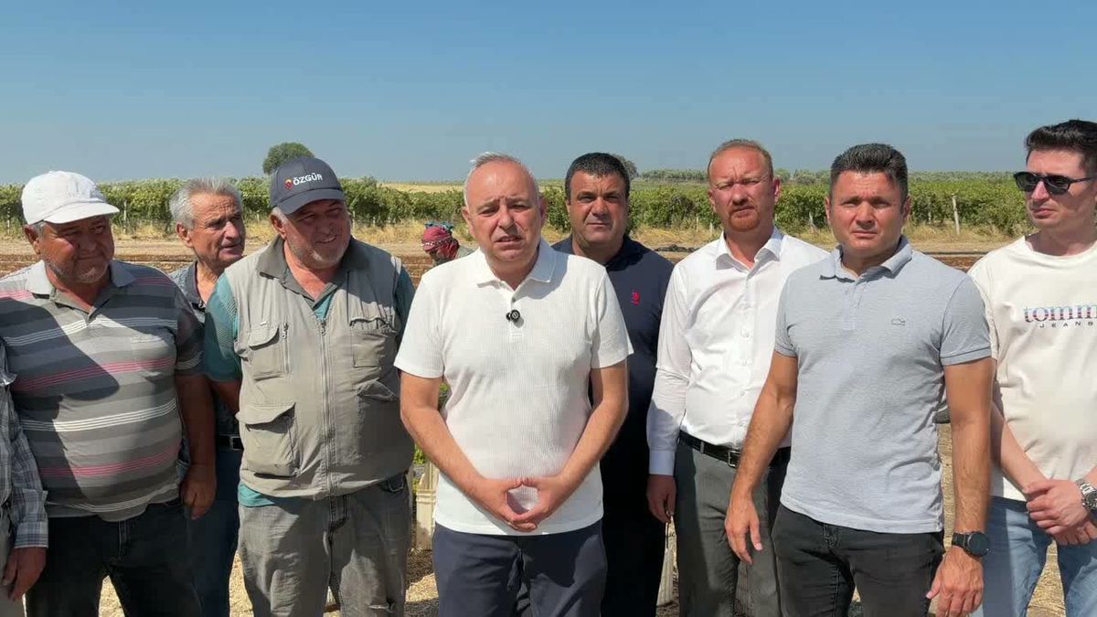 Bakırlıoğlu'ndan TMO'ya kuru üzüm çağrısı: En az 150 lira