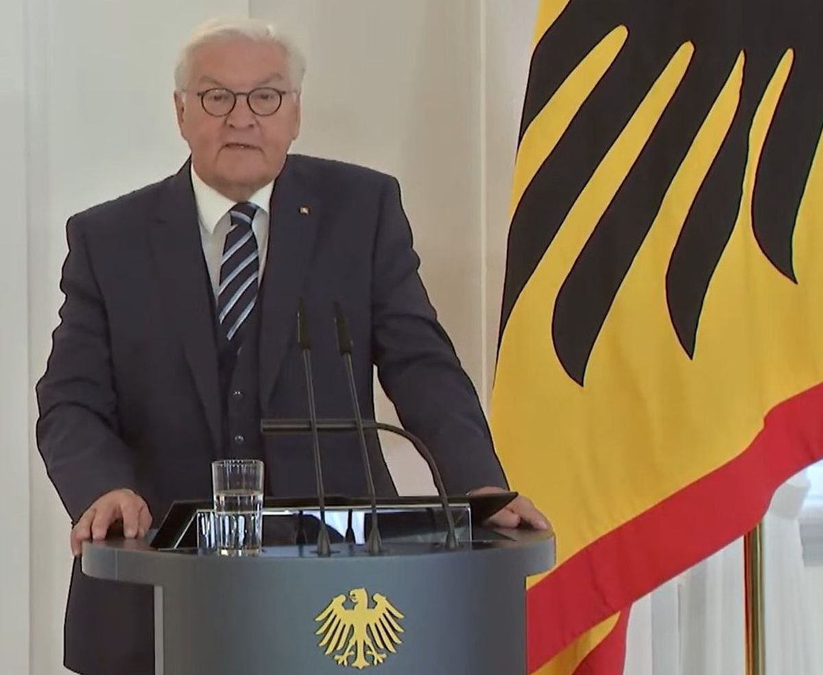 Steinmeier: Almanya Hepimizin Ortak Evi