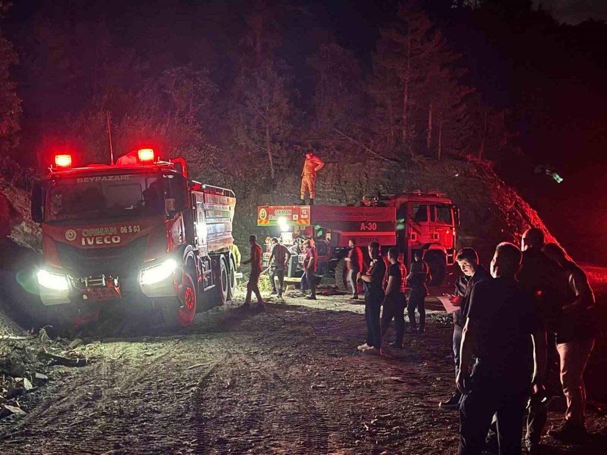 Nallıhan'da Orman Yangını Kontrol Altında