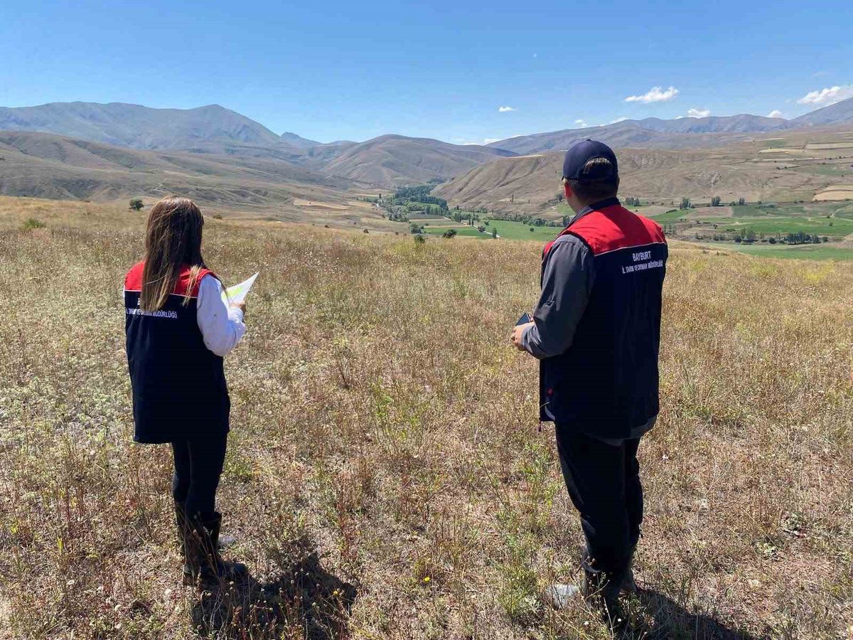 Bayburt'ta 2 Yıl İşlenmeyen Tarım Arazileri Tespit Ediliyor