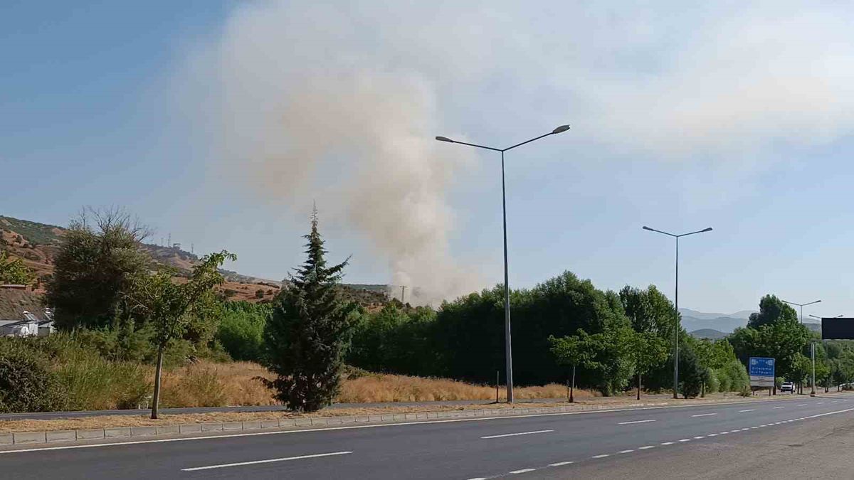 Bingöl'de Otluk Yangını Büyümeden Söndürüldü