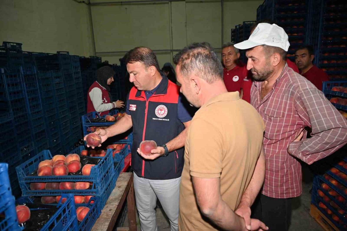 Tarım Müdürü Zayim, Çivril’deki şeftali işleme tesisini inceledi