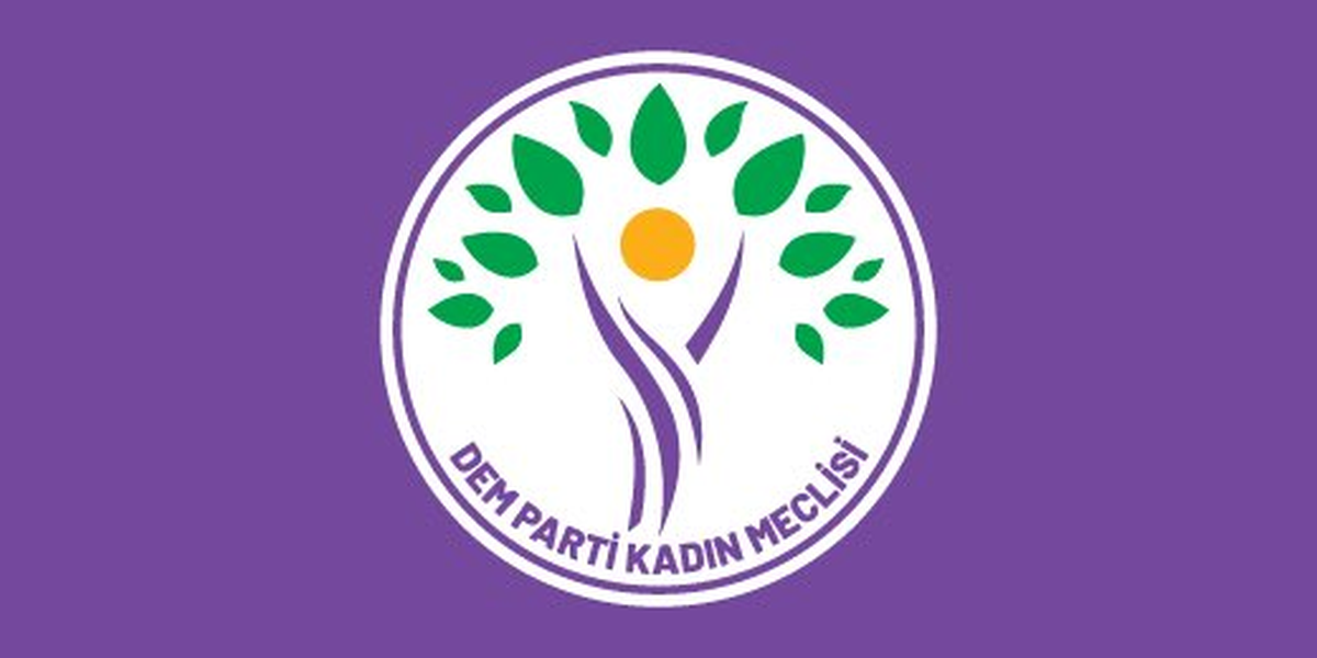 DEM Parti'den Rojin Kabaiş soruşturmasına ilişkin sert açıklama
