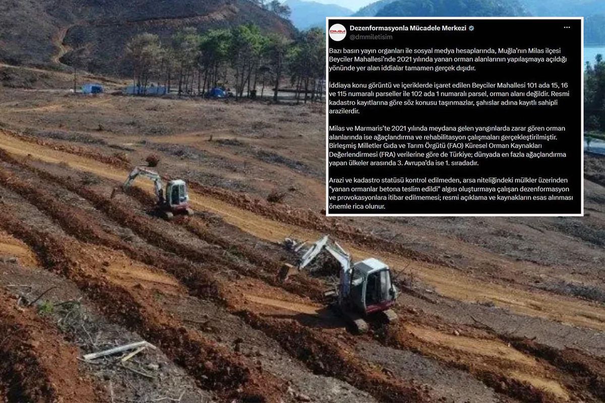 Milas'taki yangın alanı imara açıldı mı? İddialara yanıt geldi