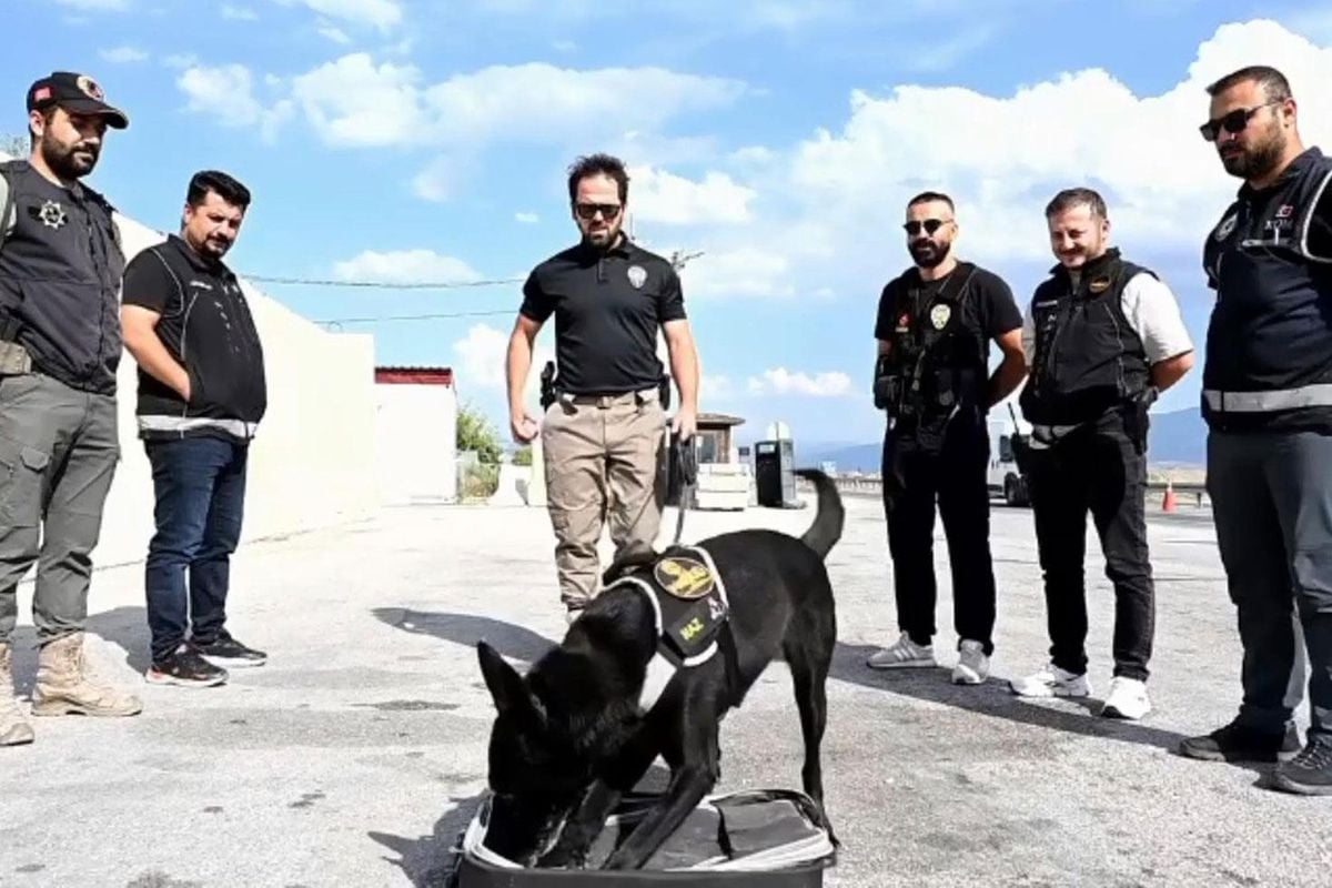 Narkotik köpek Naz emekli oldu: Duygusal veda