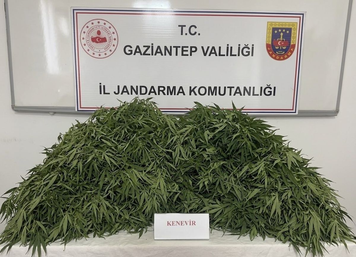 Gaziantep'te Uyuşturucu Operasyonu: 9 Gözaltı