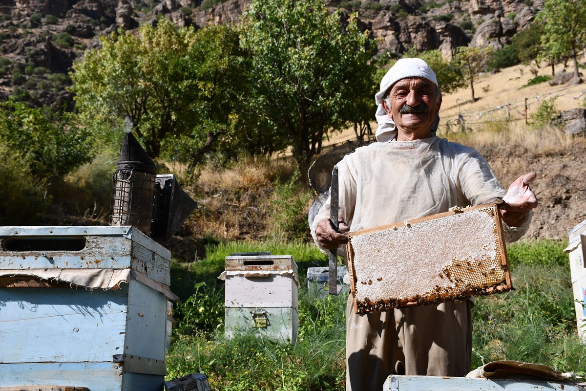 51 Yıllık Arıcı: 6 Çocuğunu Bal ile Okuttu