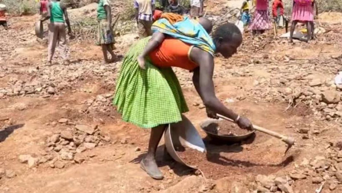 Kenya'da keçisini ararken altın buldu! Kazma küreği kapan bölgeye akın etti