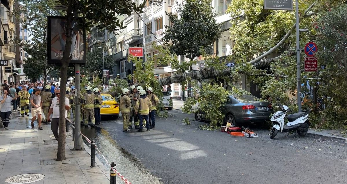 Şişli'de Devrilen Çınar Ağacı İki Aracın Üzerine Düştü