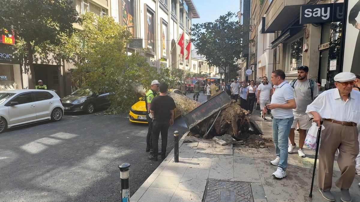 Şişli'de Devrilen Ağaç Park Halindeki 2 Araca Zarar Verdi