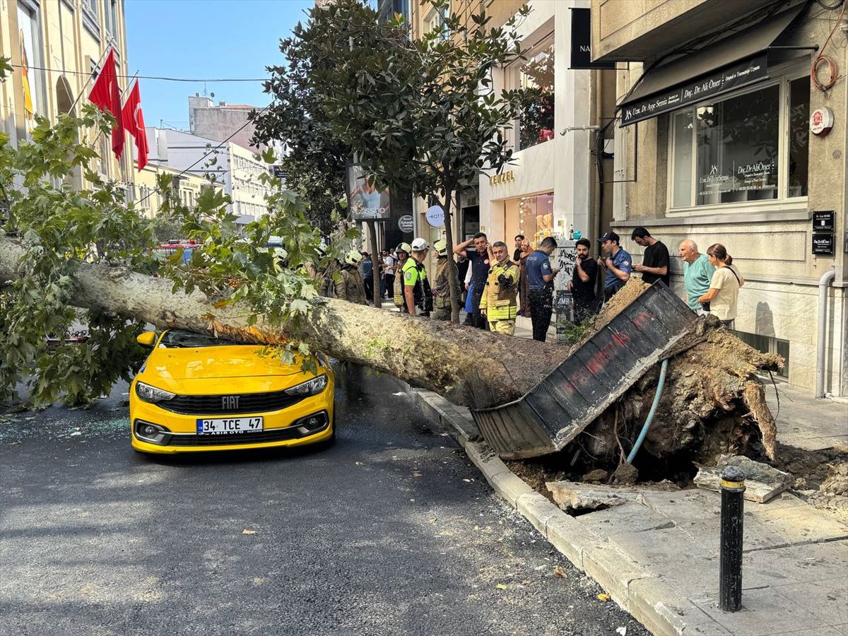 Şişli'de devrilen ağaç hasara yol açtı