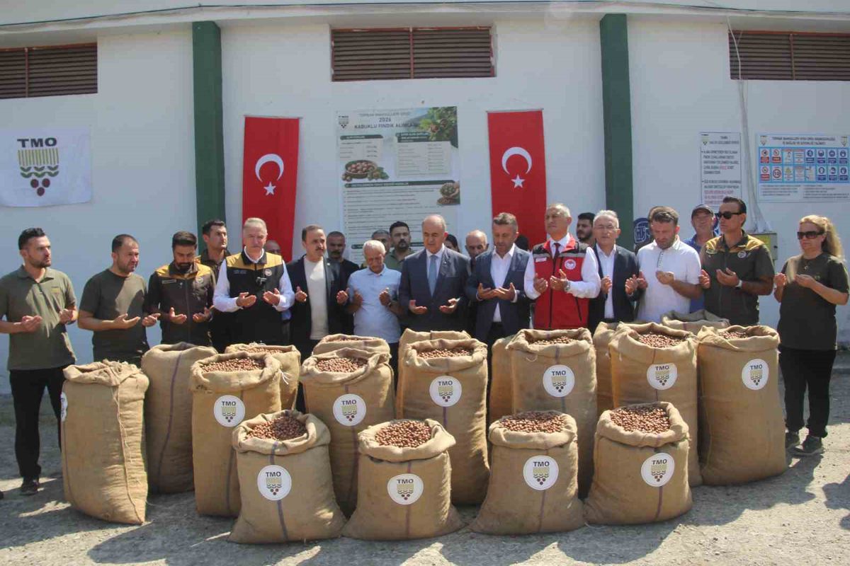 TMO Genel Müdürü Güldal: 'Geçen yılın fındık mahsulü bu yıl kesinlikle alınmayacak'