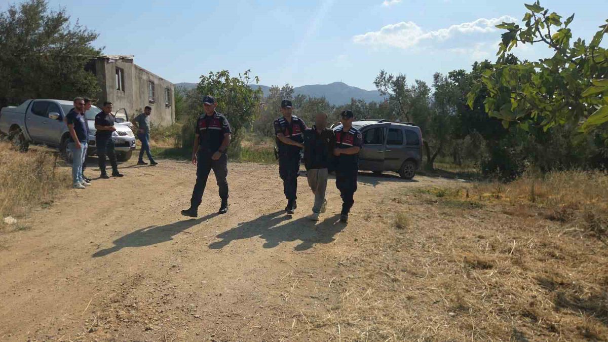 Zeytinlikte Yakalanan Çalıntı Araç Operasyonu