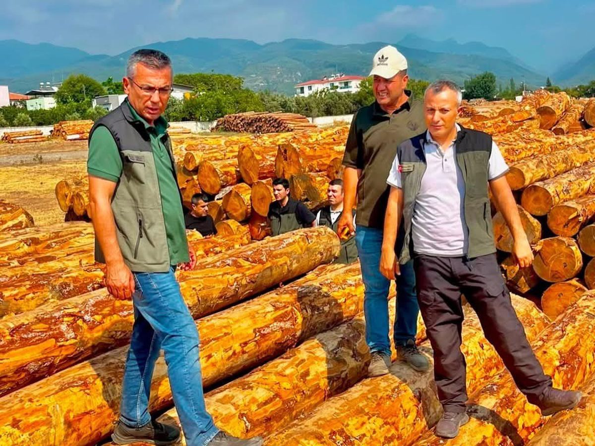 Dörtyol'da Orman Üretim Faaliyetleri ve Hedefler Değerlendirildi