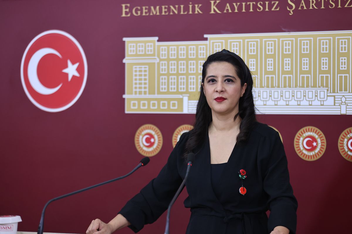 EMEP'li Karaca, Madran Dağı yangınını TBMM'ye taşıdı: 5 bakana soru önergesi
