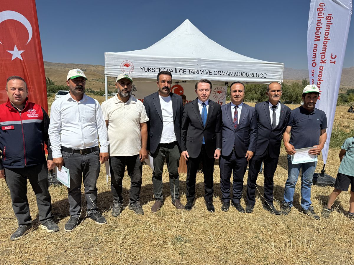 Yüksekova'da Buğday Hasadı Şenliği